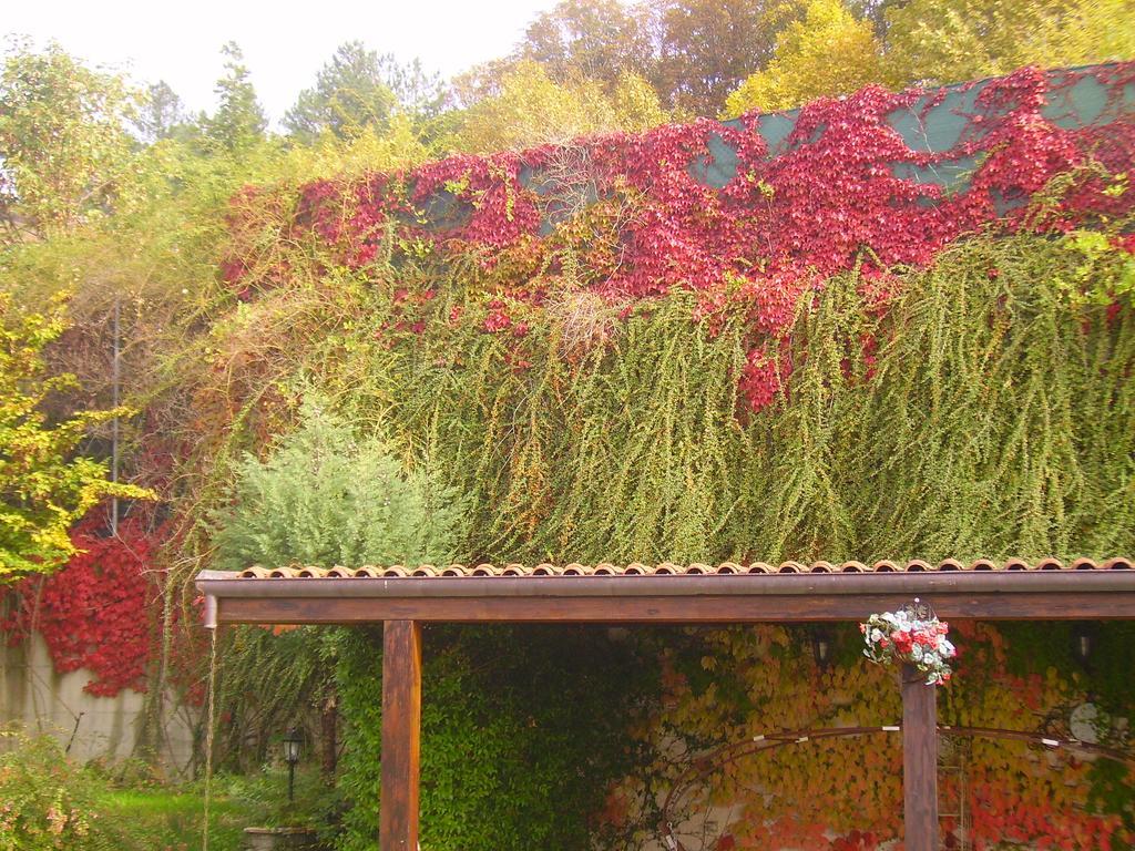SantʼAgata Feltria B&B Margherita Le Fiabe מראה חיצוני תמונה