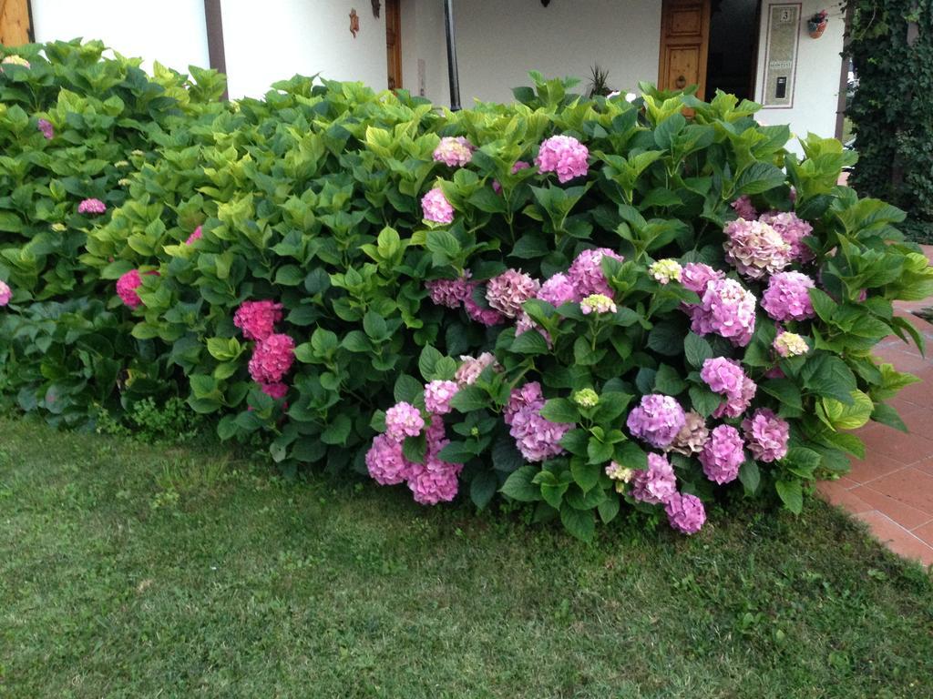 SantʼAgata Feltria B&B Margherita Le Fiabe מראה חיצוני תמונה